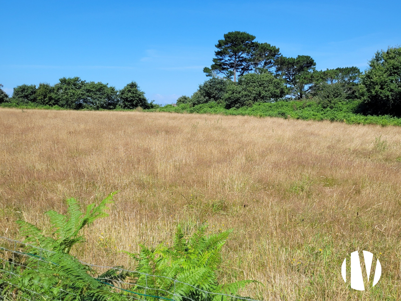 FINISTERE – Domaine agrotouristique de 9 hectares de SAU - 