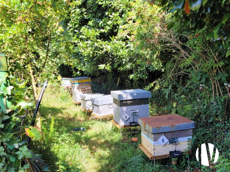 FINISTERE – Domaine agrotouristique de 9 hectares de SAU - 