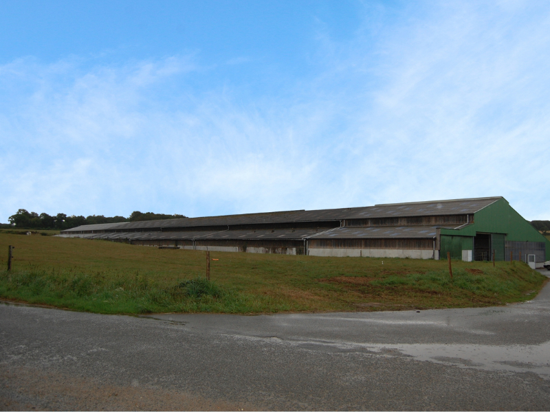 FINISTERE – Exploitation laitière 2 200 000 litres sur 232 ha de SAU - 