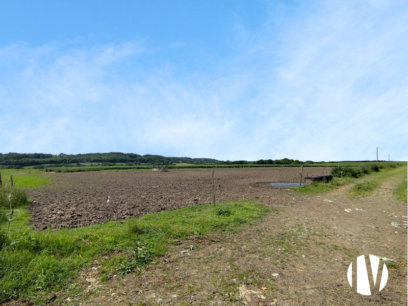 CENTRE MORBIHAN – Exploitation laitière de 100 hectares de surface PAC - 