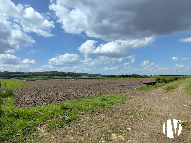 CENTRE MORBIHAN – Exploitation laitière de 100 hectares de surface PAC - 