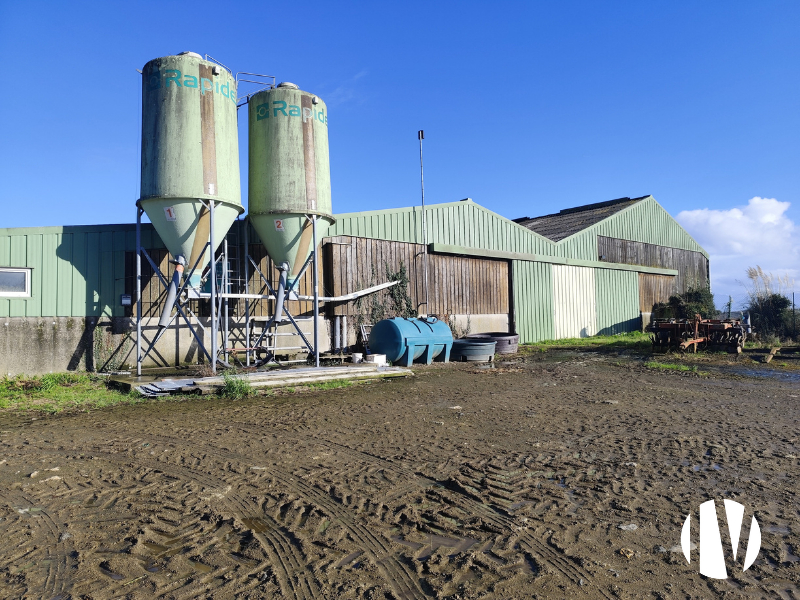 CENTRE MORBIHAN – Exploitation laitière de 100 hectares de surface PAC - 