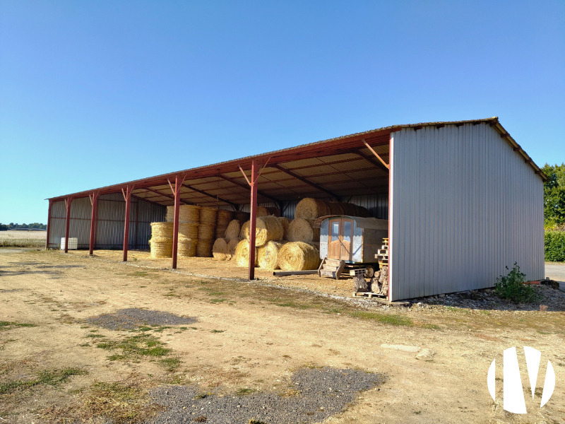 CHER – 150ha en Champagne Berrichonne avec joli corps de ferme - 