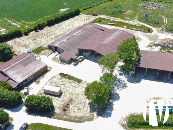 Indre, goat farm with processing on 18.5 hectares