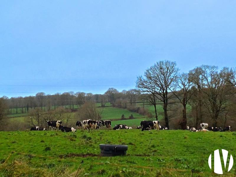 Morbihan- Dairy farm producing around 590,000 litres of milk.