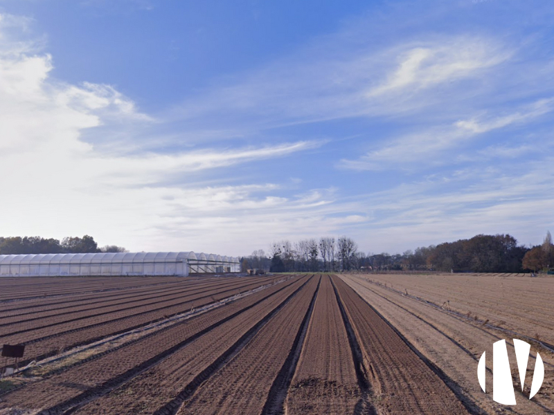 Loire Atlantique – Mooie groenteteeltbedrijf in de buurt van Nantes op 5 hectare
