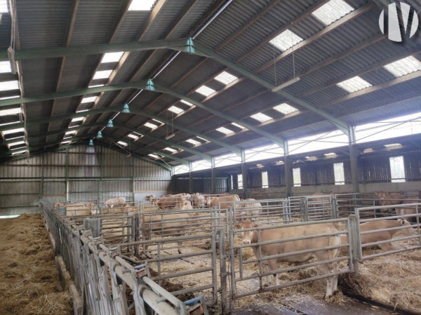 MAINE ET LOIRE. Mixed crop and livestock farm with a highly grouped plot of land