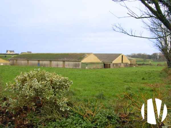 NOORD FINISTERE.  Varkenshouderij op 63 hectare
