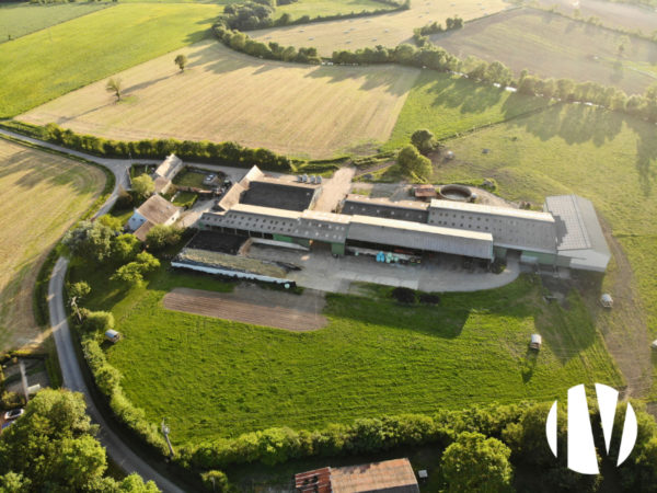 LOIRE-ATLANTIQUE. Very fine dairy farm, 620,000 litres