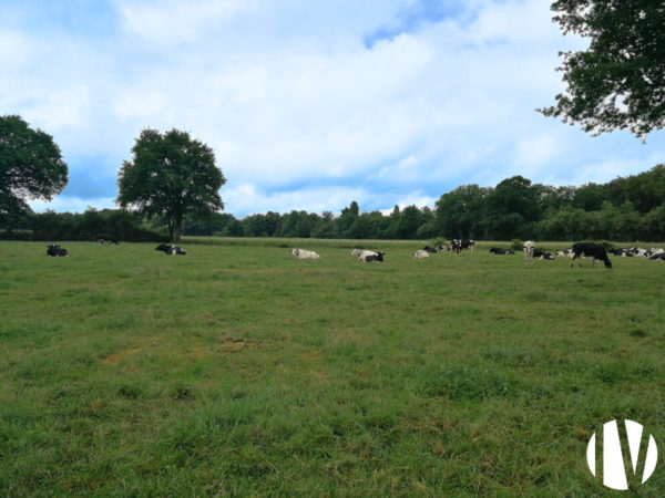 Loire-Atlantique, Exploitation laitière sur 129 hectares