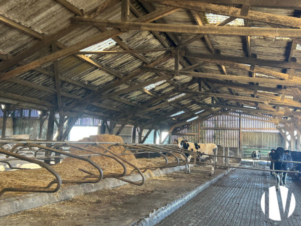 CÔTES D’ARMOR. Dairy farm, 105 ha well grouped in a dynamic sector