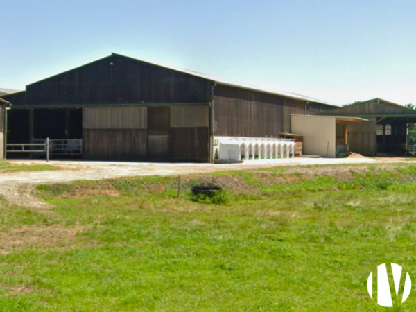 Loire-Atlantique: Well maintained dairy farm on 99 ha