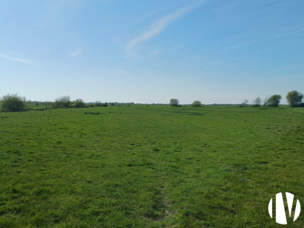 Pays de Retz – Prachtig mooi verkaveld landgoed van 80 hectare