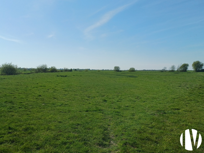 Pays de Retz – Magnifique propriété de 80 hectares groupés