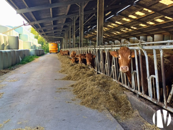Loire-Atlantique – Magnifique propriété de 160 hectares
