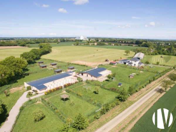 COTES D’ARMOR- Dog breeding and boarding kennels for 125 dogs.