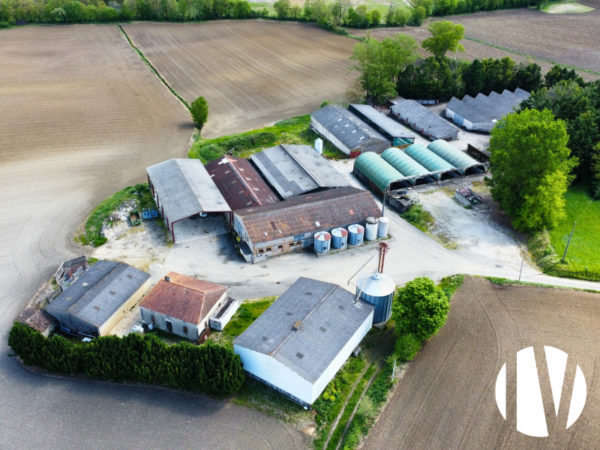 Lot et Garonne : Exploitation céréalière de 340ha avec 550 places d’engraissement de bovins