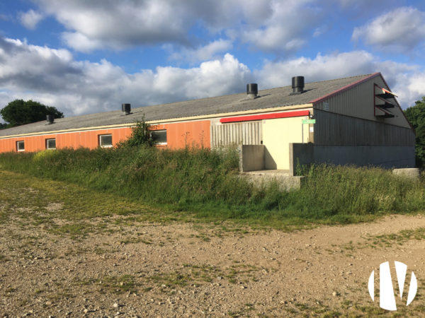 FINISTERE. Zeldzaam. Varkenshouderij, 1000 zeugen op 4 locaties.