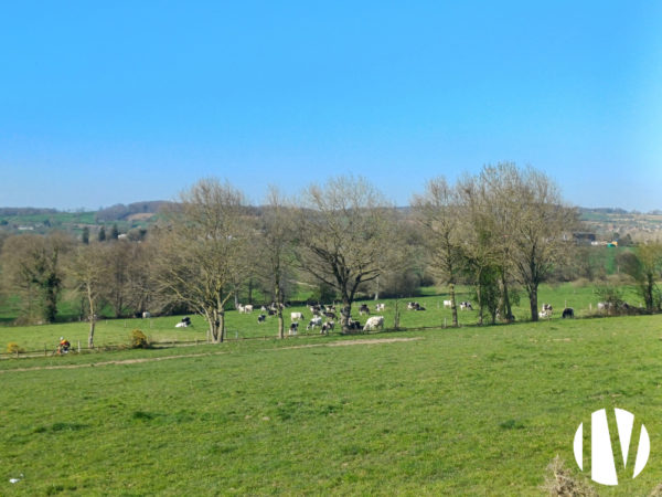 MANCHE – Lait et porc sur 85 hectares