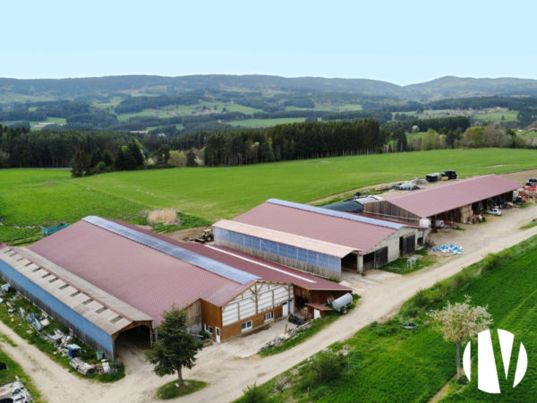 LOIRE, dairy farm on 92 hectares well grouped