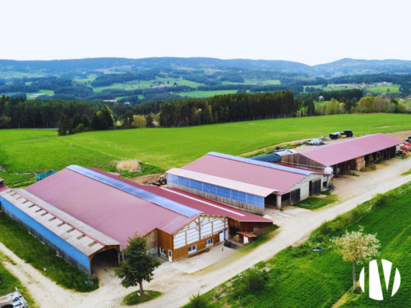 LOIRE, dairy farm on 92 hectares well grouped