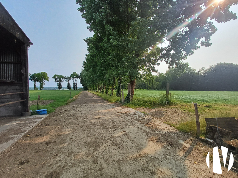 COTES D’ARMOR – Melkveehouderij met een productie van 633.000 liter op ongeveer 134 hectare