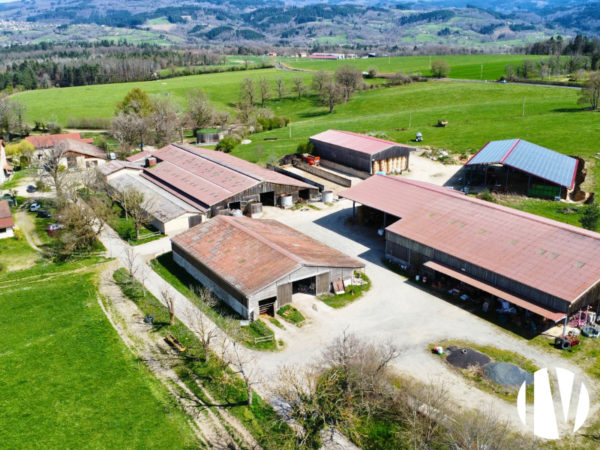 PUY DE DOME : Exploitation laitière de 190ha avec transformation en zone AOP