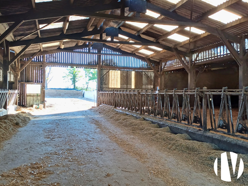 LOIRE-ATLANTIQUE, Exploitation laitière sur plus de 120 hectares