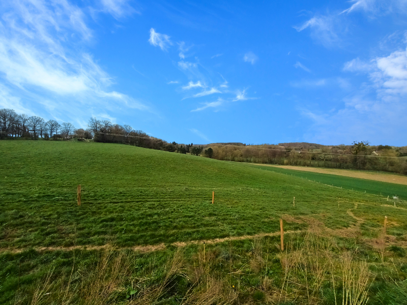 MAYENNE, très belle exploitation lait, viande et cultures sur 130 ha