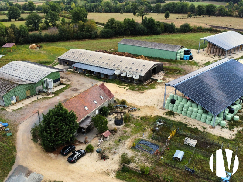 INDRE: Goat farming for young farmers with land support