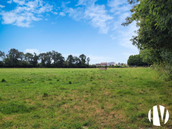 FINISTERE. Beef cattle farming on 65 hectares