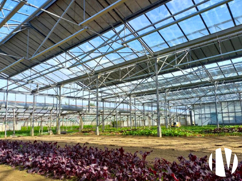 Vendée – Exploitation de plantes aromatiques