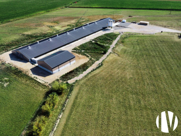 Haute-Garonne, recently built facility with 30,000 free-range laying hens.