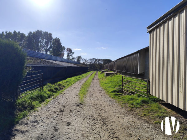 MORBIHAN –  Dynamic sector, mixed farming operation on 19 hectares