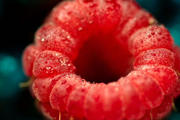 RARE ! : GRAND OUEST : Patrimoine agricole d’exception ! Fruits rouges & productions variées