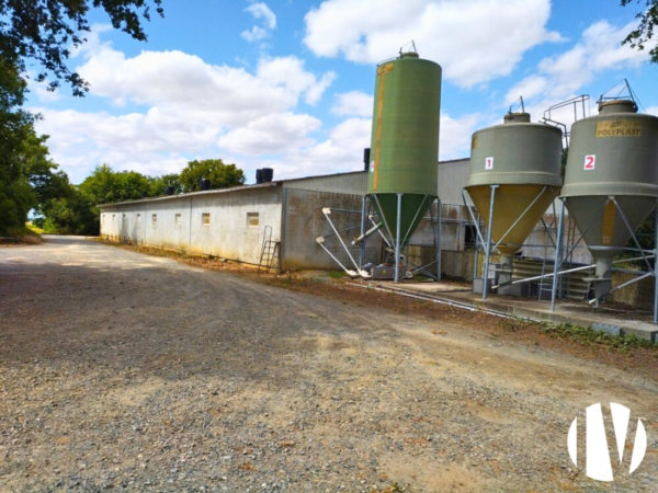 Deux-Sèvres – Progressive pig farm with 450 sows on 120 hectares of cereal crops
