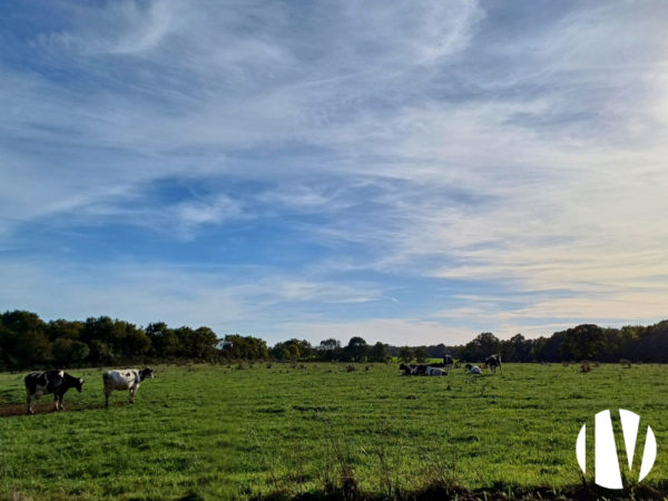LOIRE ATLANTIQUE. Beautiful dairy farm with a capacity of 1,300,000 litres on 260 hectares.