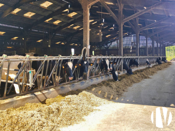 MAINE-ET-LOIRE, 660 000 litres sur 124 ha proche Angers