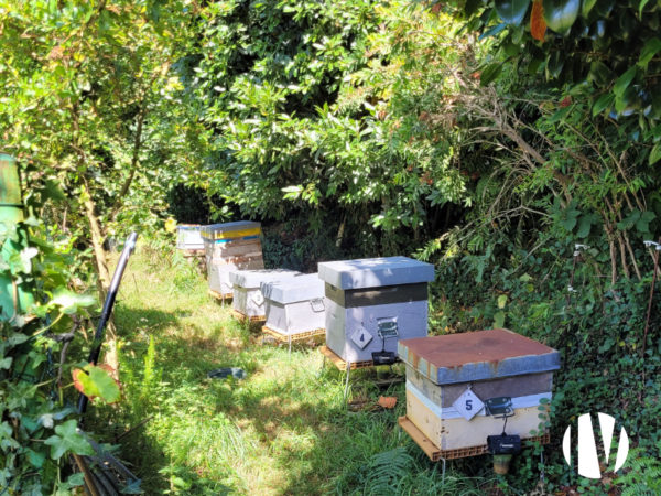 FINISTERE – Domaine agrotouristique de 9 hectares de SAU