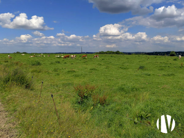 CENTRE MORBIHAN – Exploitation laitière robotisée de 103 hectares de surface PAC