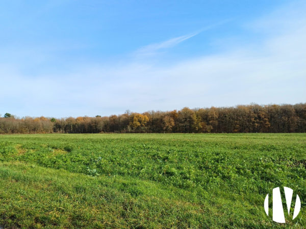 INDRE-ET-LOIRE, agricultural estate and woodland covering 114 hectares in a single block