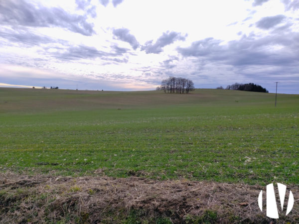 Dordogne: 71 hectares of irrigated farmland for investors or farm expansion