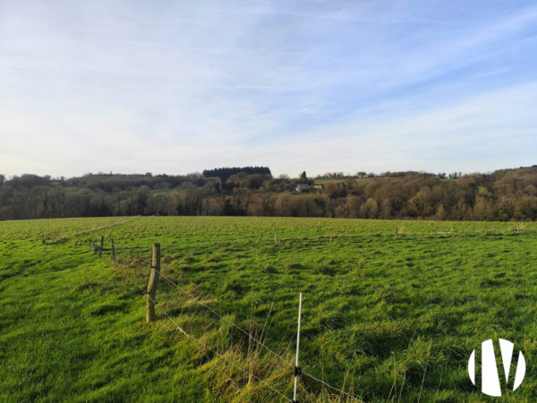 MORBIHAN – Exploitation agricole système herbager de 60 hectares environ