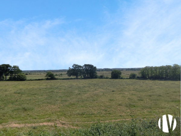 MORBIHAN – Exploitation laitière robotisée de 130 hectares
