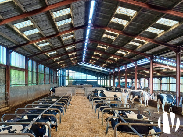LOIRE-ATLANTIQUE – A high-performing dairy farm producing 580,000 litres across more than 127 hectares