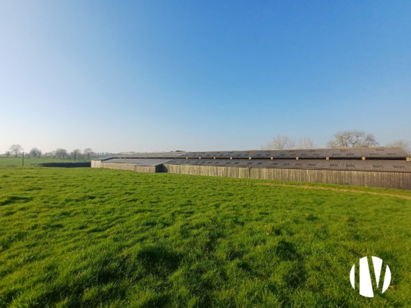 MANCHE –  Ferme laitière produisant 1 050 000 litres sur 150 hectares