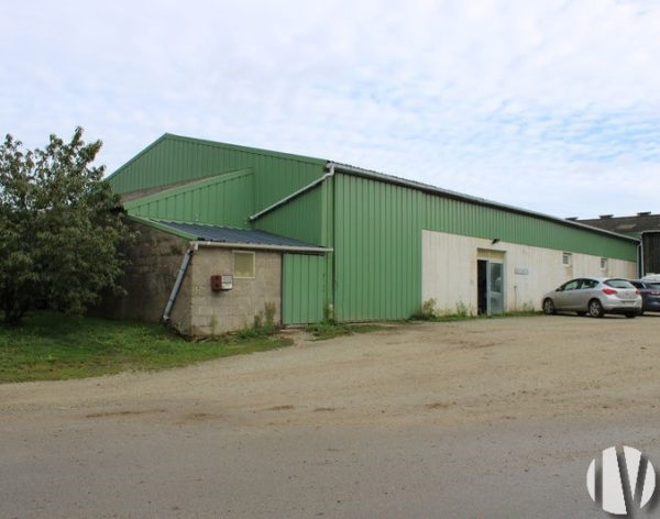 MORBIHAN. Proche de VANNES, belle exploitation laitière à taille humaine