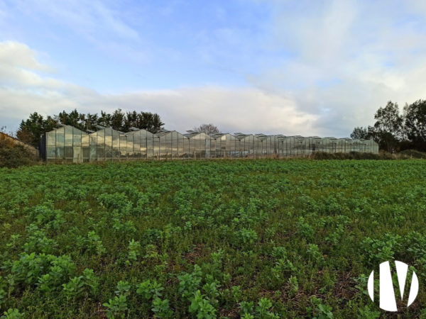 SARTHE – Exploitation maraichère BIO avec potentiel de diversification