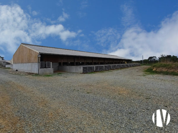 FINISTERE – EXPLOITATION PORCINE BIOLOGIQUE DE 120 TRUIES AU COEUR DU TRÉGOR