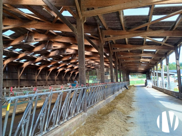 LOIRE-ATLANTIQUE ? Dairy and arable farming on 130 ha with a beautiful main building
